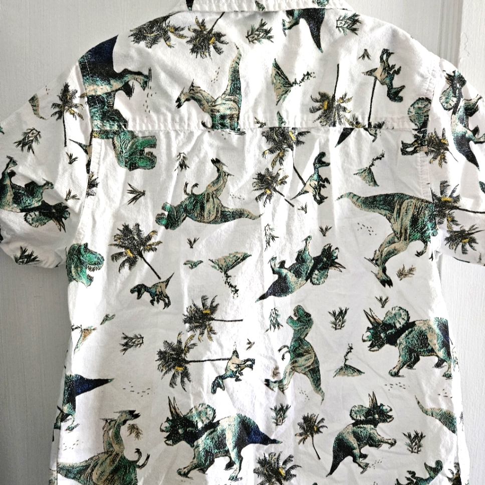 Epic Threads Dinosaur Button Down